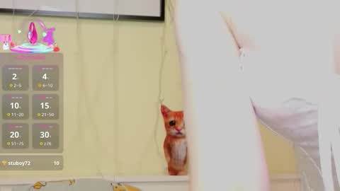 Kristine online show from November 25, 7:19 am