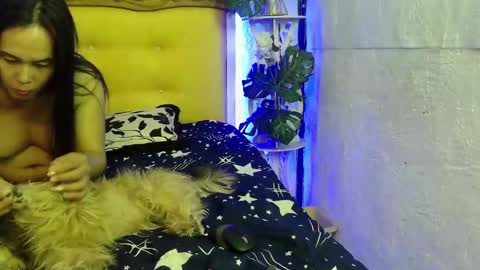 asianladyboy888 online show from March 11, 4:57 pm