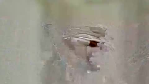 asifzamma online show from April 25, 8:50 am