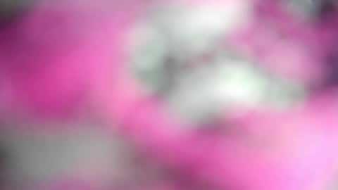 Monii Yi online show from February 13, 7:24 am