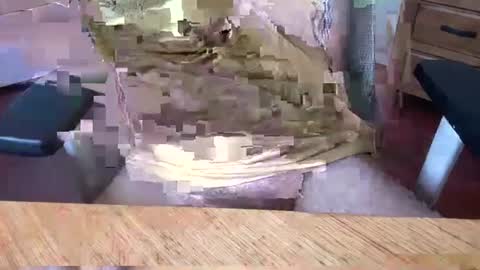 Snapshot of aussielatino82 chatting on March 5, 5:07 am Rich online show from March 5, 5:07 am