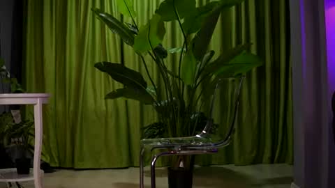 Ava online show from August 2, 7:23 pm