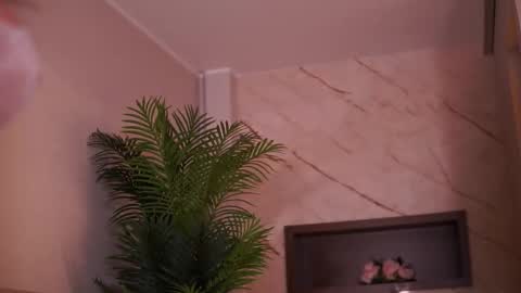 Snapshot of avamaddisson chatting on February 6, 4:39 am Ava online show from February 6, 4:39 am