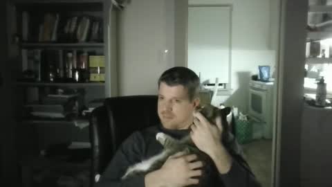 Avenger online show from February 2, 3:32 am