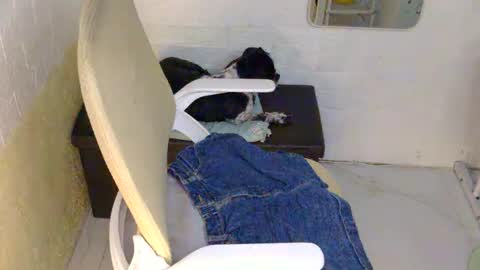 Rhian online show from September 9, 2:49 pm