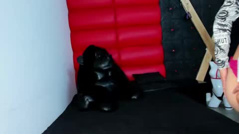 Snapshot of avi_thomsonn chatting on March 13, 3:13 am avi_thomsonn online show from March 13, 3:13 am