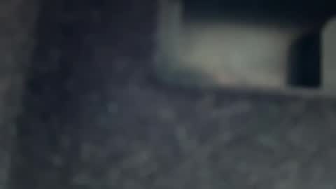 Snapshot of aymax95 chatting on November 17, 11:38 am AYBOY online show from November 17, 11:38 am