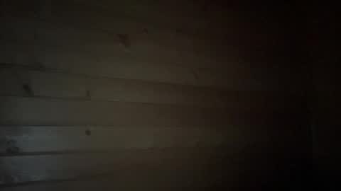 Snapshot of ayshekisskitty chatting on January 9, 9:16 pm ViktoranMary online show from January 9, 9:16 pm