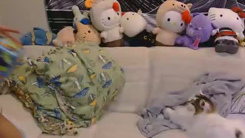 aznp1ea5er online show from February 19, 4:19 am