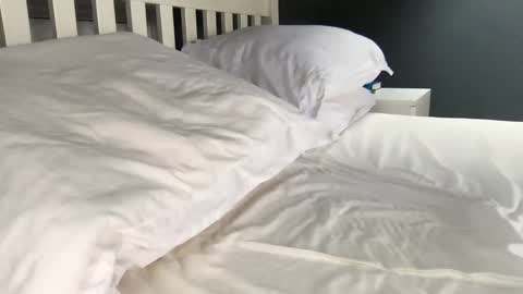 b1gd0ng1111 online show from September 17, 9:44 am