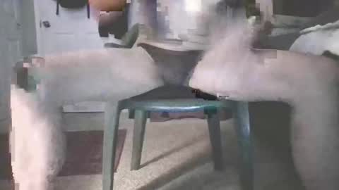 bjohnson420 online show from November 16, 8:42 am