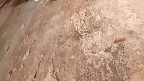 Snapshot of babyy_foxxy chatting on October 2, 9:22 pm Megan online show from October 2, 9:22 pm