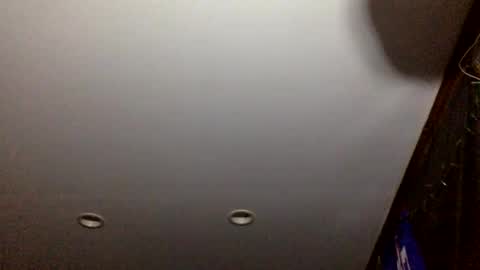 bagchaserbih online show from April 2, 7:17 am