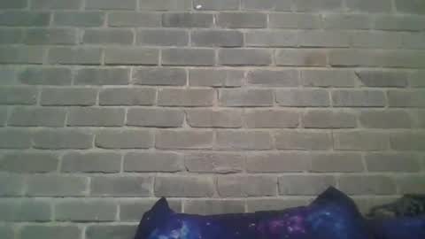 Snapshot of baielekker81578 chatting on February 9, 1:25 pm Chaterlain online show from February 9, 1:25 pm