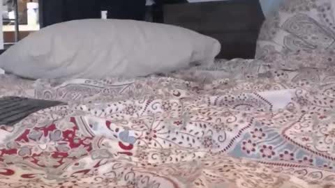 baker305 online show from September 29, 4:17 am