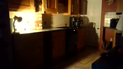 Snapshot of ballet_bears chatting on November 2, 7:27 pm Ballet Bear online show from November 2, 7:27 pm