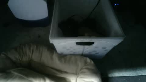 Snapshot of balls_deep_209 chatting on November 10, 9:19 am boton online show from November 10, 9:19 am