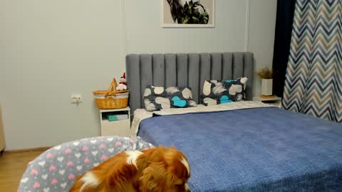 Kira online show from January 10, 4:41 pm