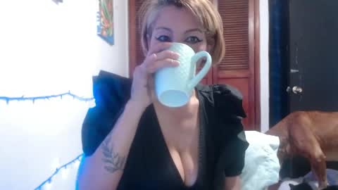 barbiemature online show from May 28, 9:06 am