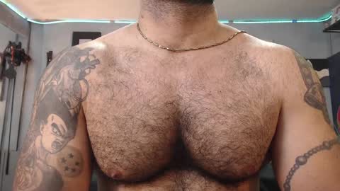 bardock online show from February 1, 9:51 pm