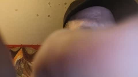 Snapshot of barniemay1 chatting on June 28, 12:33 pm barniemay1 online show from June 28, 12:33 pm