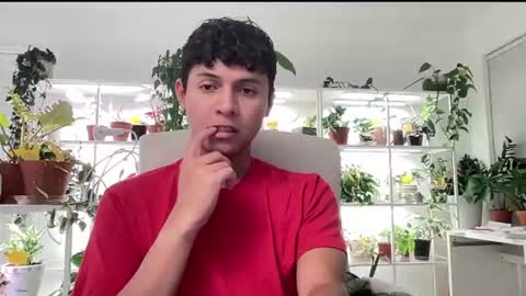 Basicflxp online show from July 15, 12:27 am
