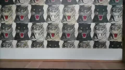 Snapshot of basrutten1 chatting on March 6, 4:07 pm Bas online show from March 6, 4:07 pm