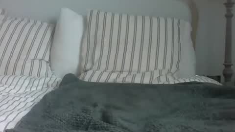 Bass245 online show from December 15, 10:30 am