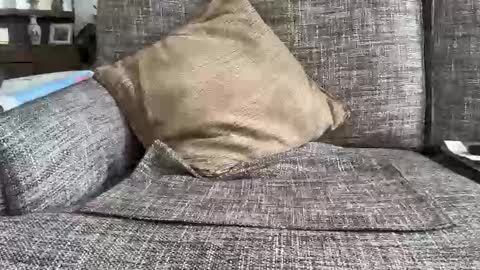 baykiwi54 online show from February 11, 10:26 pm