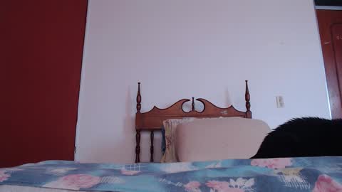 bayonette_black online show from September 27, 12:10 pm