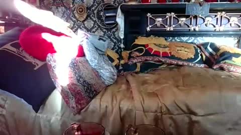 Snapshot of bazzasworld chatting on November 1, 7:32 am Bazza online show from November 1, 7:32 am