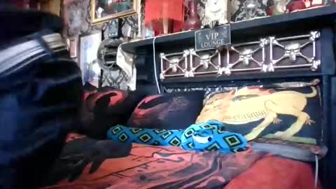 Snapshot of bazzasworld chatting on February 18, 5:03 am Bazza online show from February 18, 5:03 am