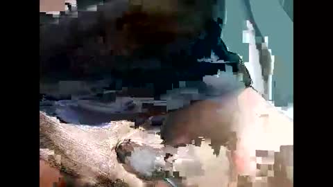 Snapshot of bbcbrazilianboy chatting on September 28, 4:18 am bbcbrazilianboy online show from September 28, 4:18 am