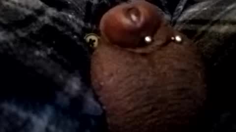 bcfalcon69 online show from February 26, 5:06 am