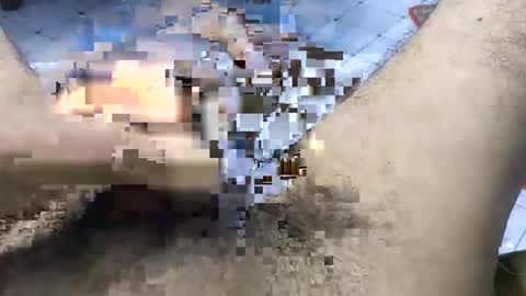 Snapshot of bd_sam_69 chatting on November 2, 9:50 pm bd_sam_69 online show from November 2, 9:50 pm