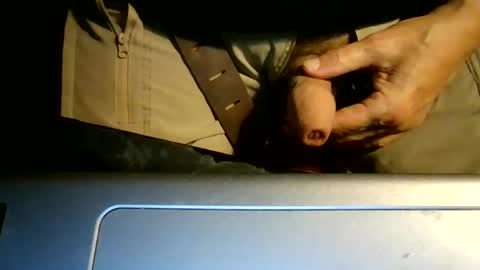 Snapshot of bearacuda555 chatting on November 2, 8:06 am Bruno online show from November 2, 8:06 am