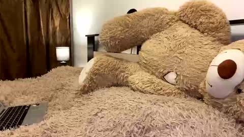 Nik online show from March 7, 7:55 pm