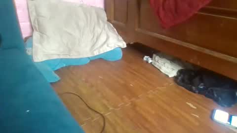 Snapshot of beebaby_xx chatting on November 16, 3:39 pm beebaby_xx online show from November 16, 3:39 pm