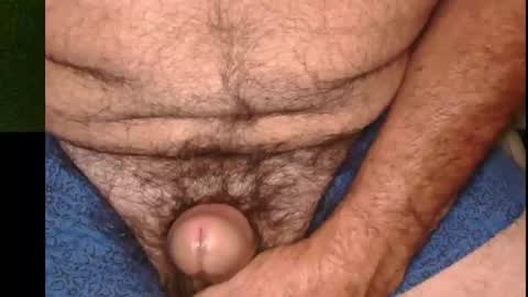Snapshot of beefstewies69 chatting on November 20, 2:17 pm Stewie online show from November 20, 2:17 pm