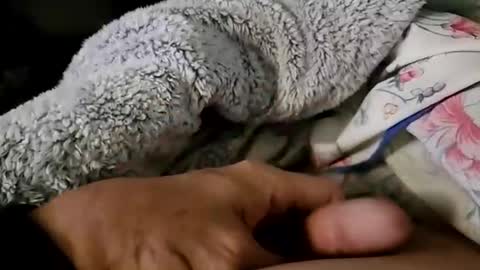 Snapshot of beepermon chatting on September 22, 12:51 pm beepermon online show from September 22, 12:51 pm