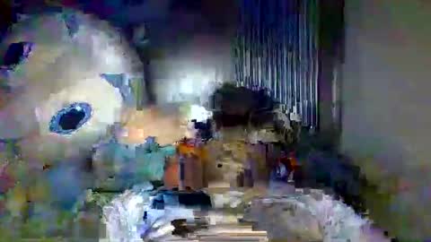 Snapshot of beijingxi chatting on May 20, 4:40 am Xi online show from May 20, 4:40 am