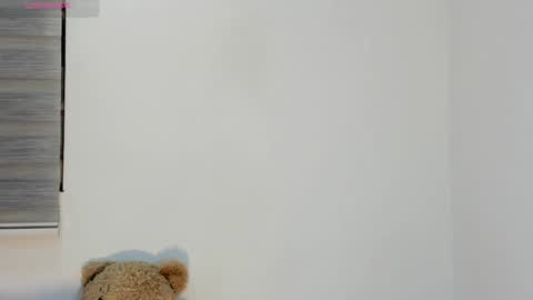 Snapshot of bella_hadid1_ chatting on November 14, 4:33 am Laura online show from November 14, 4:33 am