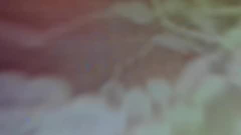 Snapshot of bellaporchxxx chatting on February 26, 2:59 am Bella Porch online show from February 26, 2:59 am