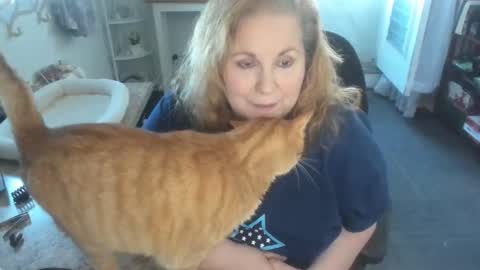 Bellavoca online show from April 11, 6:01 pm