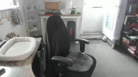 Bellavoca online show from April 28, 8:47 pm