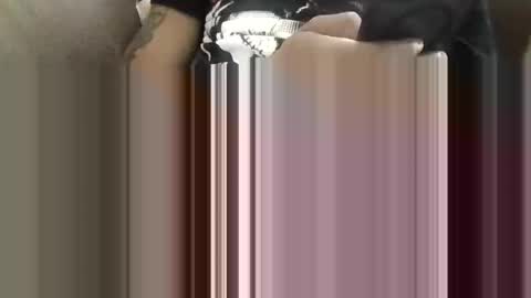 Snapshot of bertdollaz757 chatting on May 5, 4:04 pm ToxicPipe757 online show from May 5, 4:04 pm