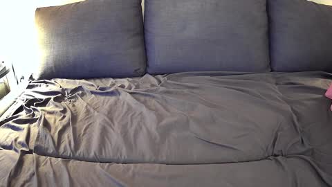 Snapshot of bfox254 chatting on February 23, 12:19 am Brian Fox online show from February 23, 12:19 am