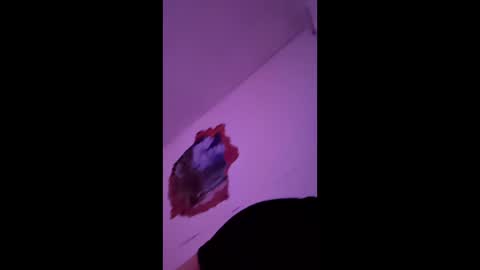 bgiamba21 online show from February 7, 10:19 am