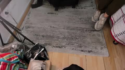 BESHA... online show from January 12, 11:39 am