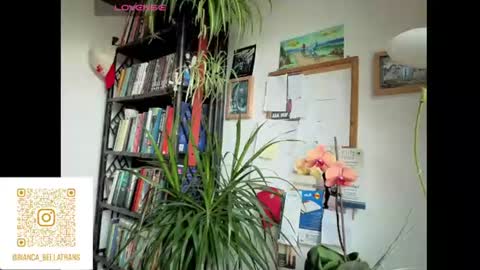 Bianca Transgirl online show from June 9, 7:42 am
